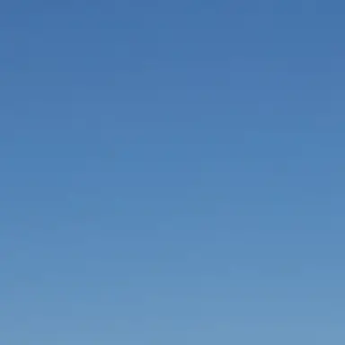 Profile image of ふぃん