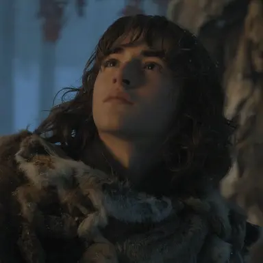 Profile image of Bran Stark