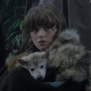 Profile image of Bran Stark
