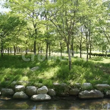 Profile image of 정공룡