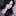 정유린