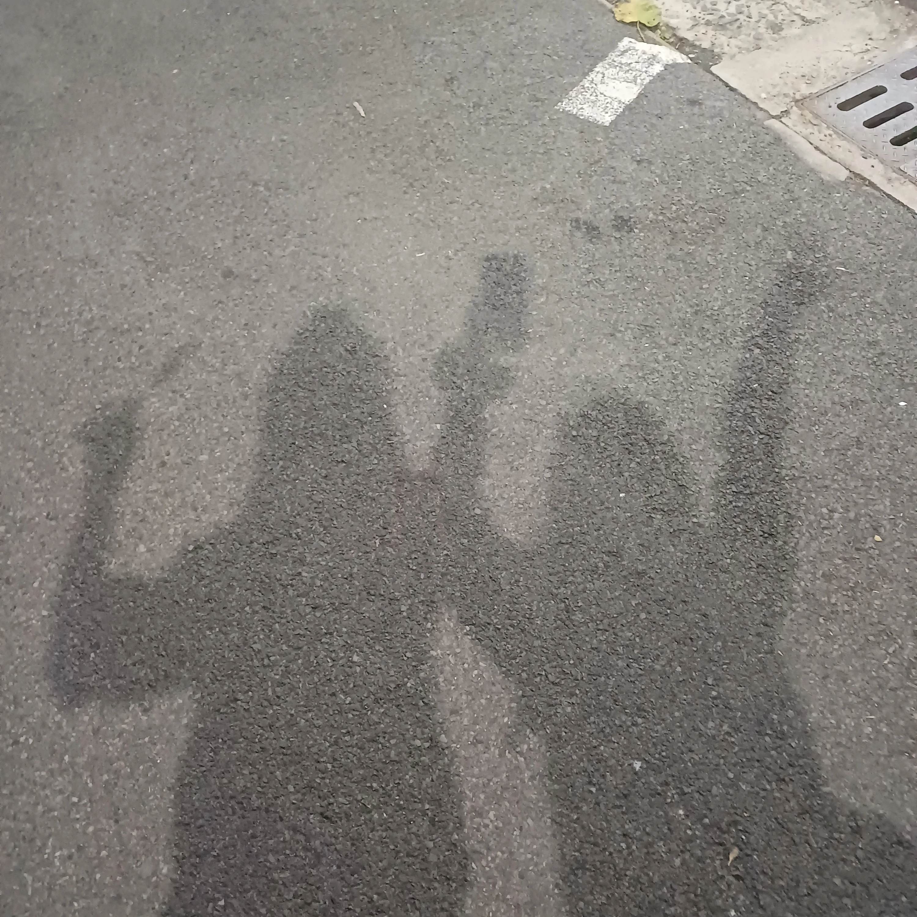 라더