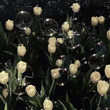 Profile image of 박덕개