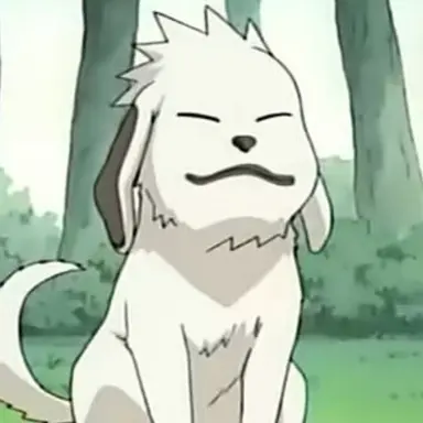 Profile image of 赤丸