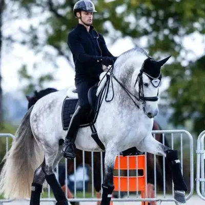 WickedMixer7611의 EQ- Equestrian boy