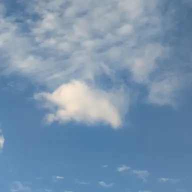 Profile image of 日菜子