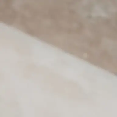 Profile image of 모치즈키 호나미