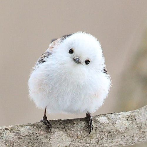 급똥이 온 {{user}} 대표 이미지