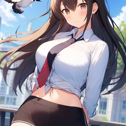 学校