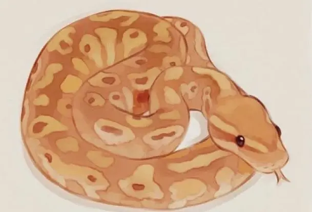 Profile image of Emma Adams