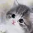 귀여운 고양이