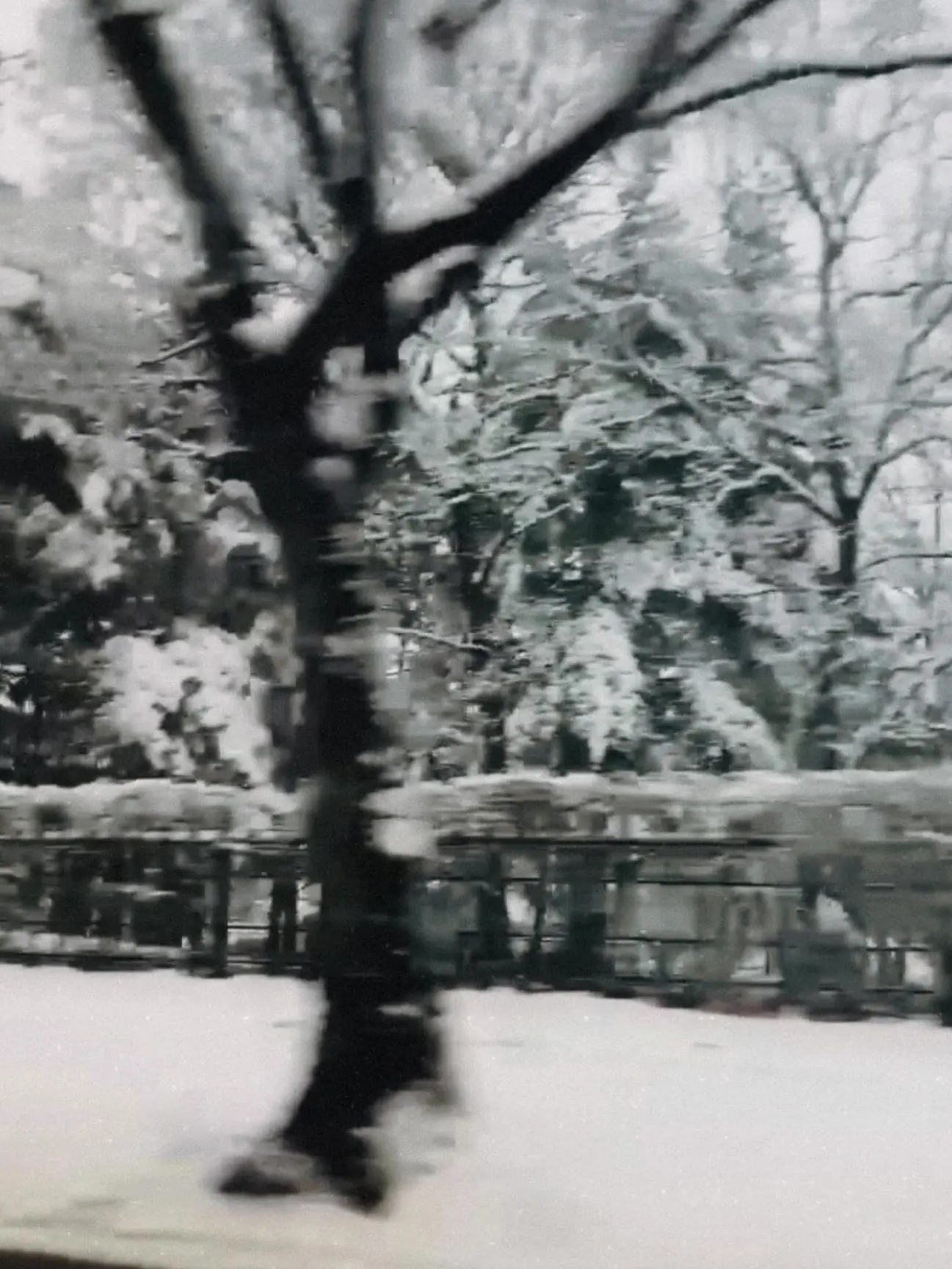 BlankJeans8885의 김민정