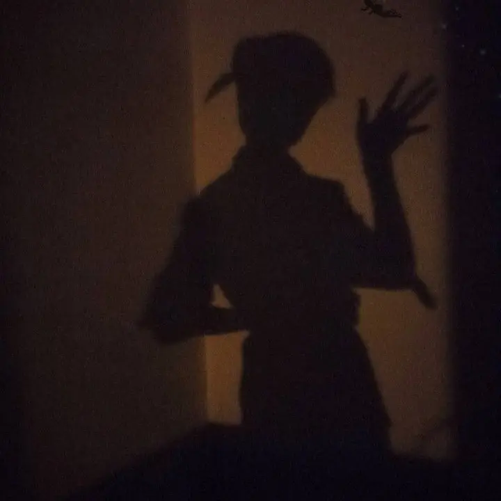 slapqmd의 Peter Pan