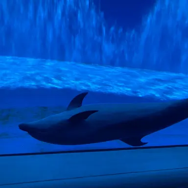 Profile image of ぐちつぼ