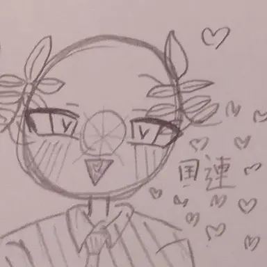 Profile image of 国連