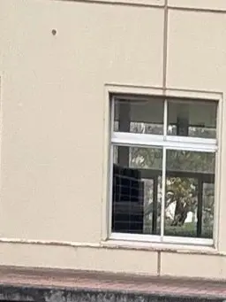 mamekyousukeotaku의 仲がいいのか…