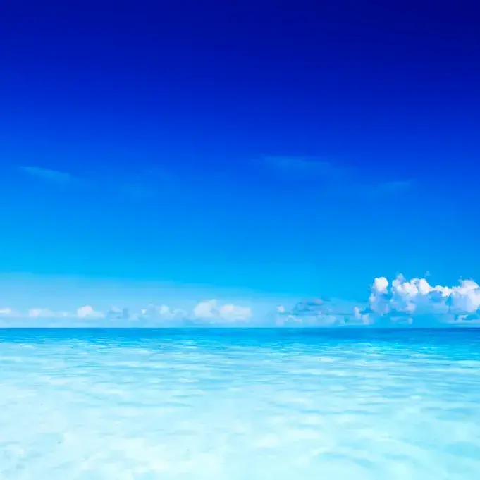SappyCold7663의 무지개의 아이들
