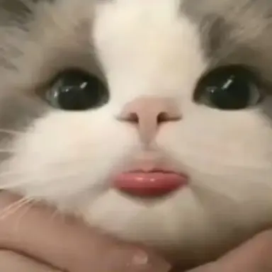 Profile image of 여우년