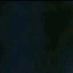 Profile image of 최여우