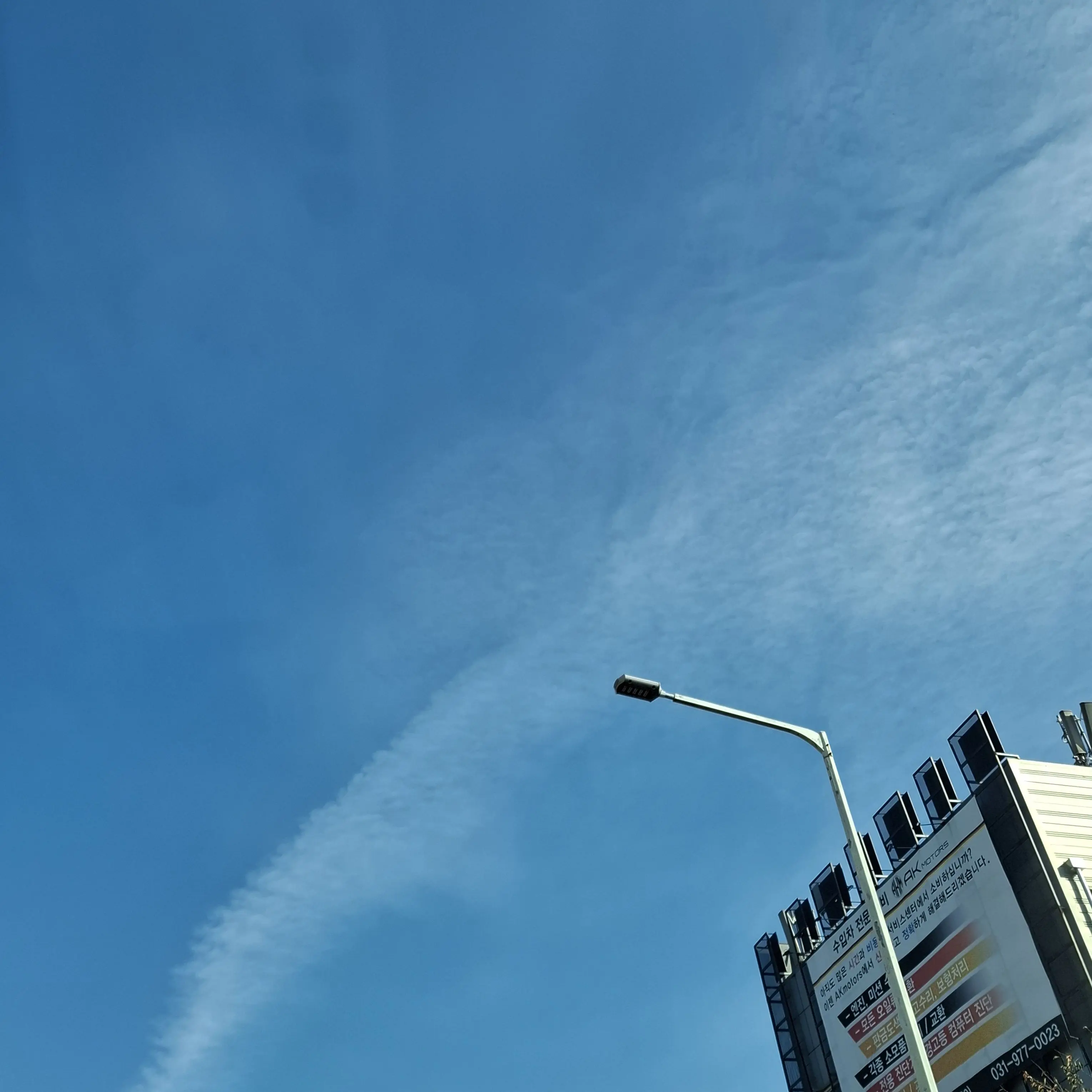 Sysosbrysidyiwduzoosfy의 보넥도 명명이 되기