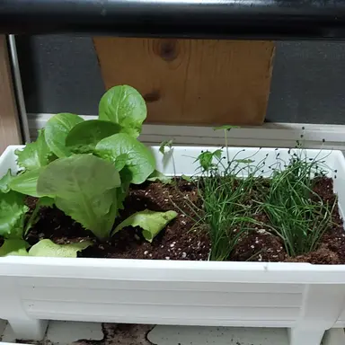 Profile image of 여우