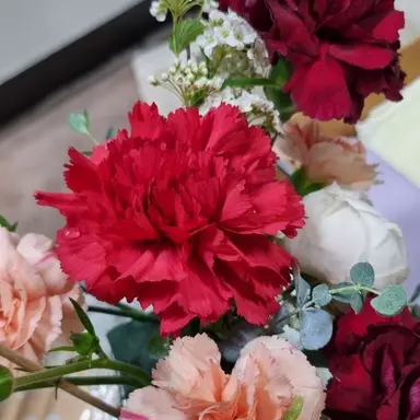 Profile image of 라더