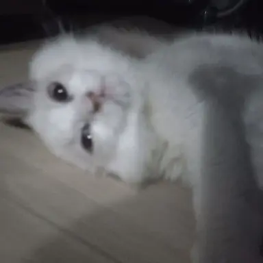 Profile image of 친오빠