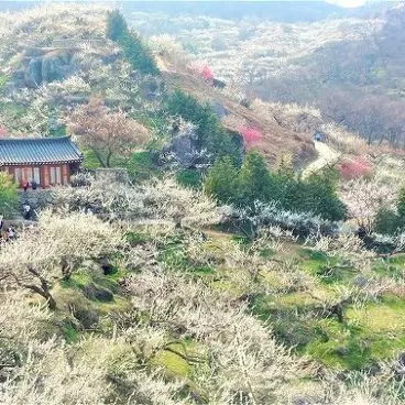 Profile image of Gwangyang