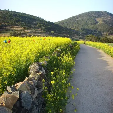 Profile image of Suncheon