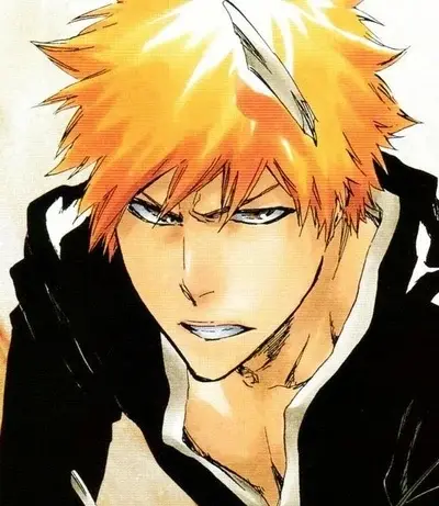 Ichigo Kurosaki - zeta