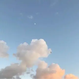 Profile image of 우유참치