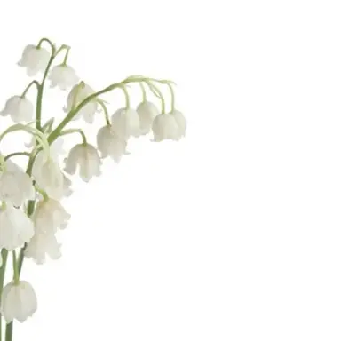 Profile image of 아카기 미치나리