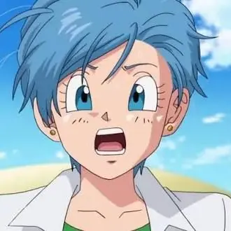 Profile image of Bulma