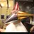 鳥パパ