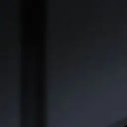 Profile image of ヒイラギ
