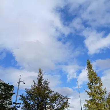 Profile image of 유저