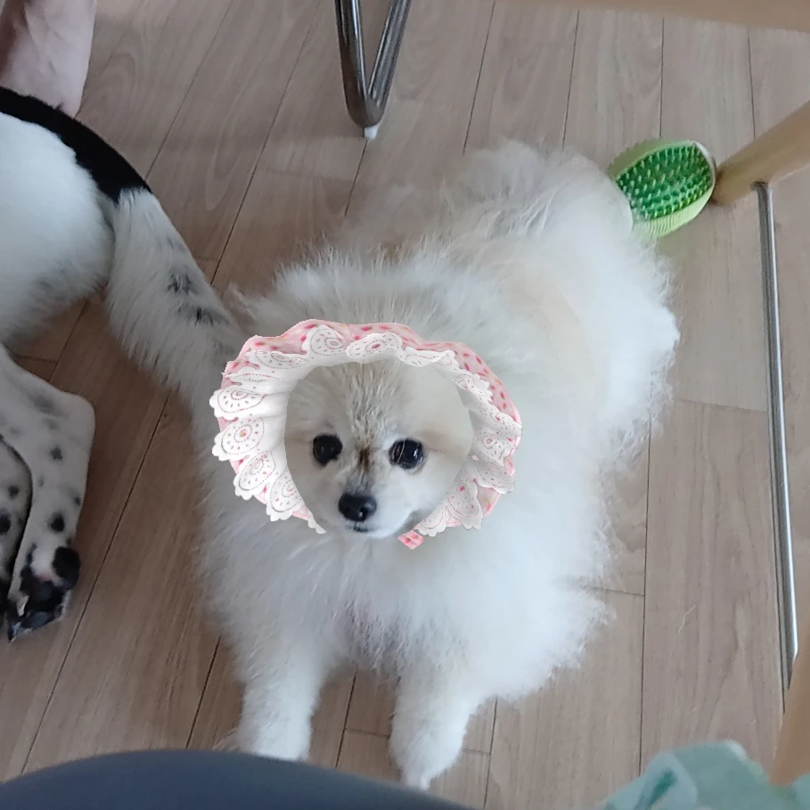 차코코