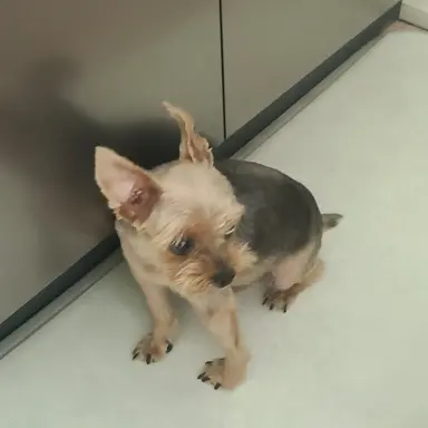 Profile image of 신똘이