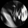Profile image of 自由