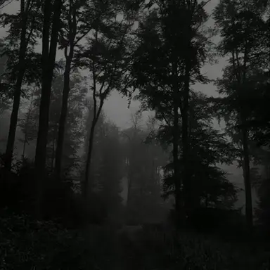Profile image of Mha Skinwalker