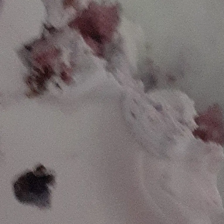 PainedVase8895의 즐거운 한국유학생활!