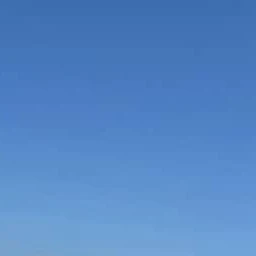 김동현