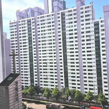 Profile image of 채스터