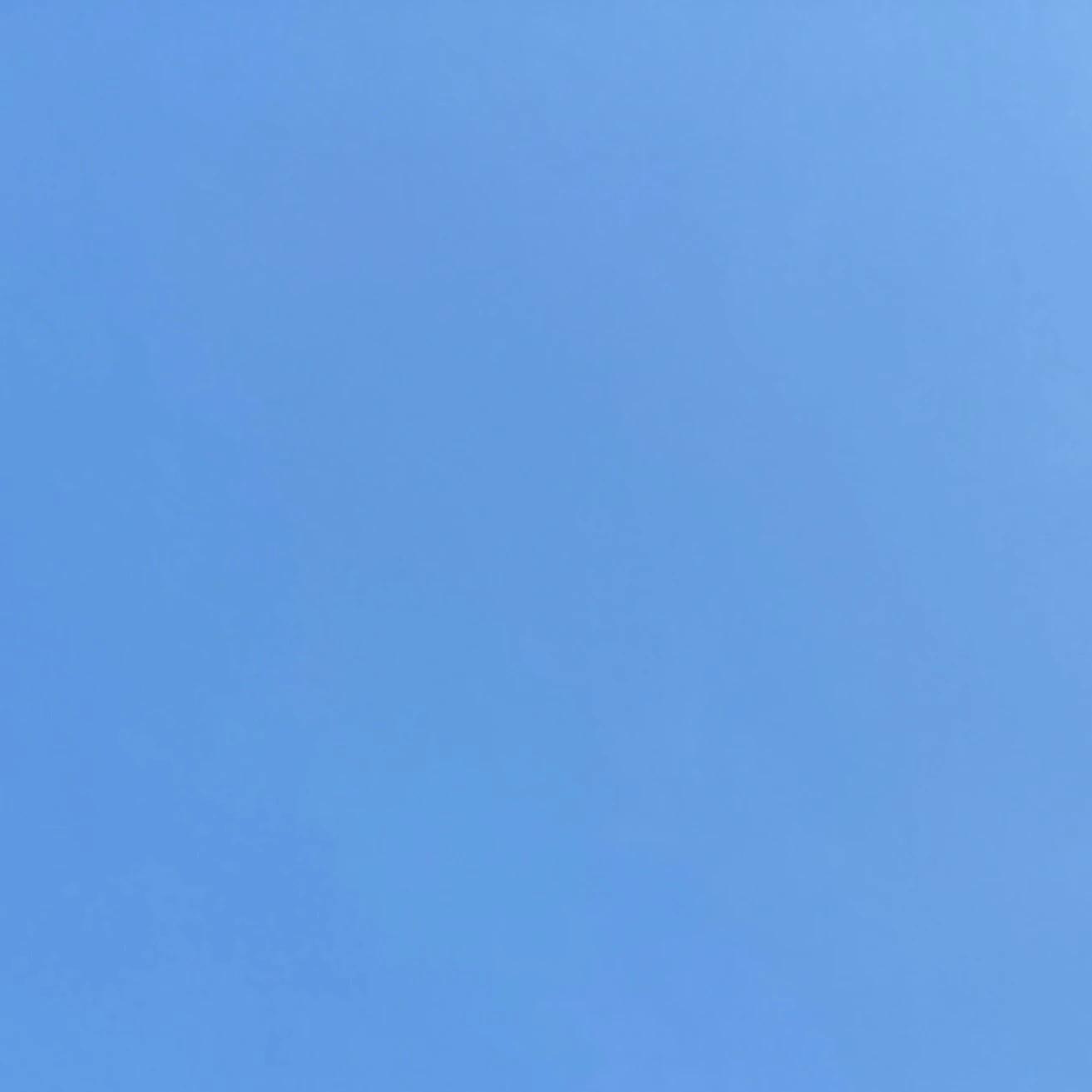 류우시