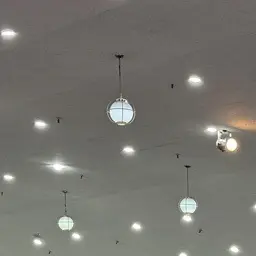 Profile image of 양지혁