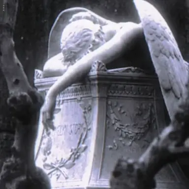 Profile image of 堕ちた天使
