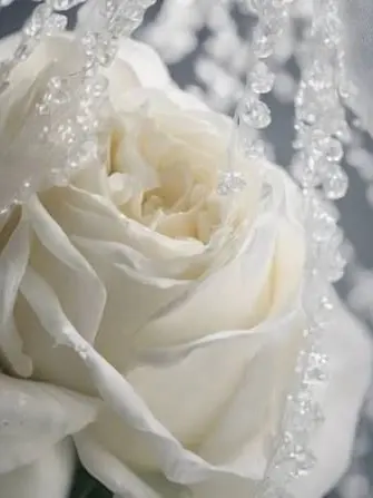 wakatakeru3080의 Everything I Am is Yours