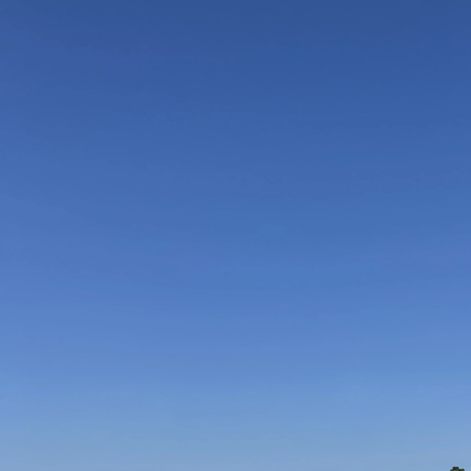 紗夏