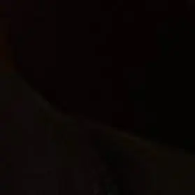 Profile image of 앤톤