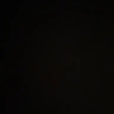 Profile image of 리오